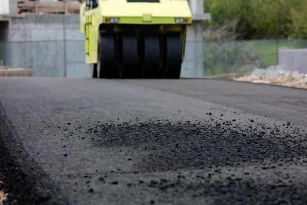 Best Driveway Pavers Cost  in Windsor, NC