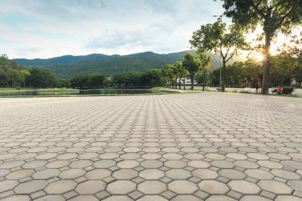 Best Commercial Driveway Pavers  in Windsor, NC