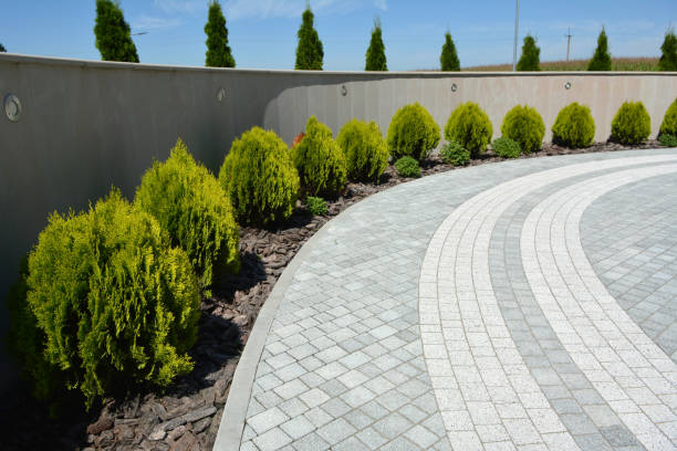 Best Residential Driveway Paver Services  in Windsor, NC