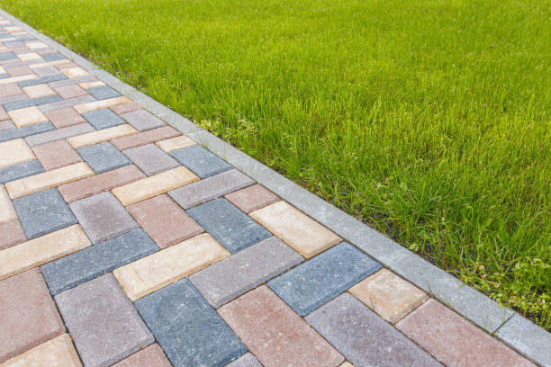 Best Driveway Pavers Near Me  in Windsor, NC